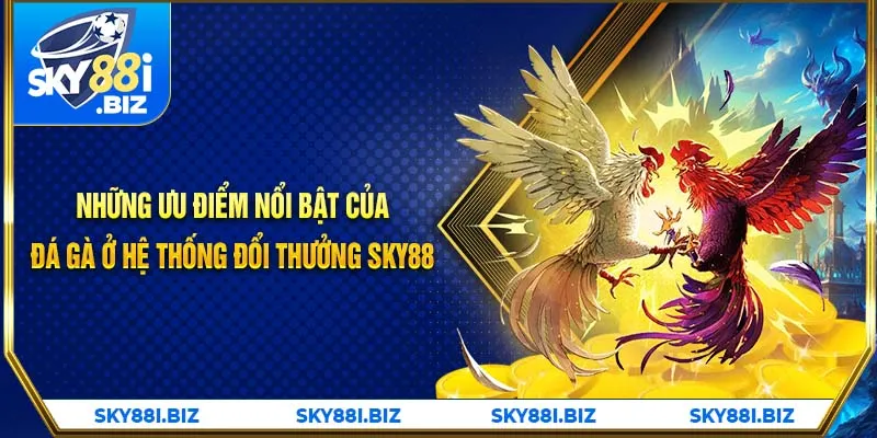 Những ưu điểm nổi bật của đá gà ở hệ thống đổi thưởng SKY88